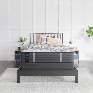 Sealy-Posturepedic-Plus–Victorious-II-Tight-Top-Soft-Mattress-Twin